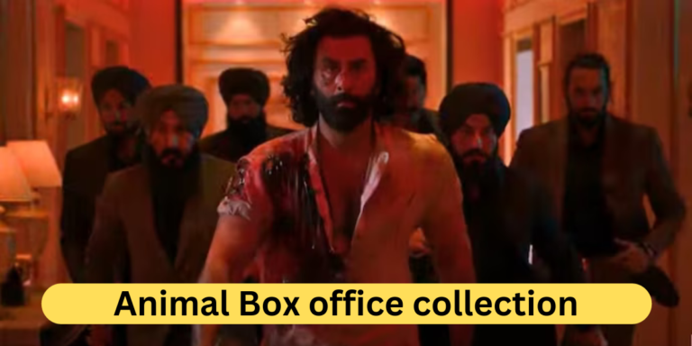 Animal Box office collection Day